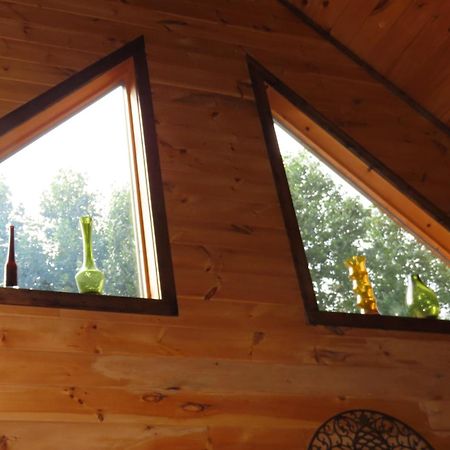 Scenic Fox Ridge Cabin On 4 Acres With Hot Tub! Whittier エクステリア 写真