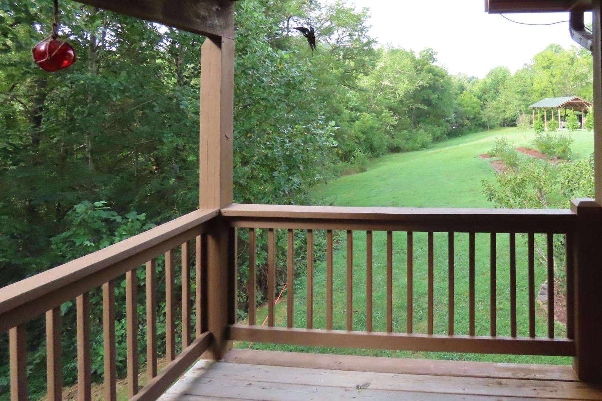 Scenic Fox Ridge Cabin On 4 Acres With Hot Tub! Whittier エクステリア 写真