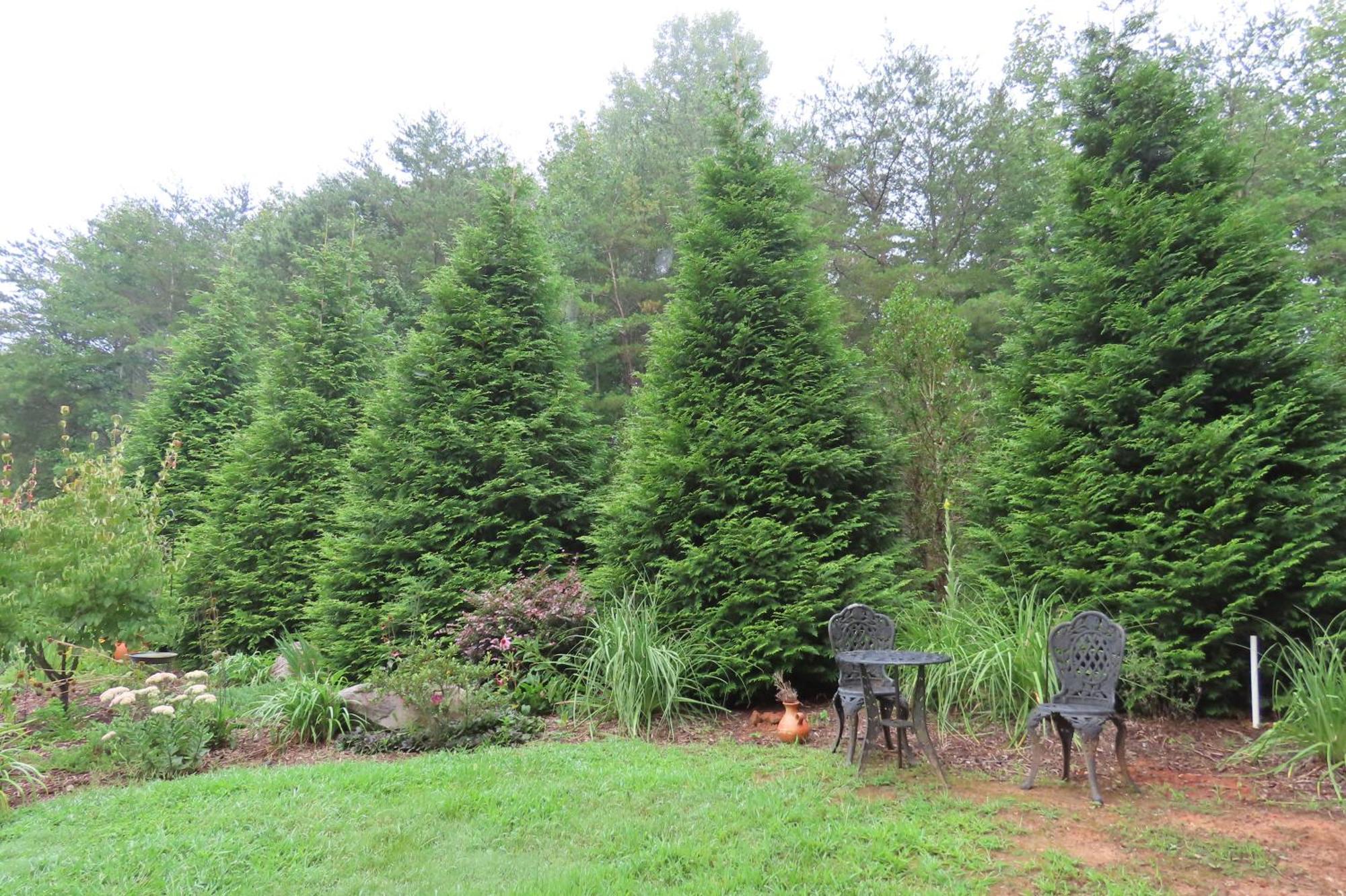 Scenic Fox Ridge Cabin On 4 Acres With Hot Tub! Whittier エクステリア 写真