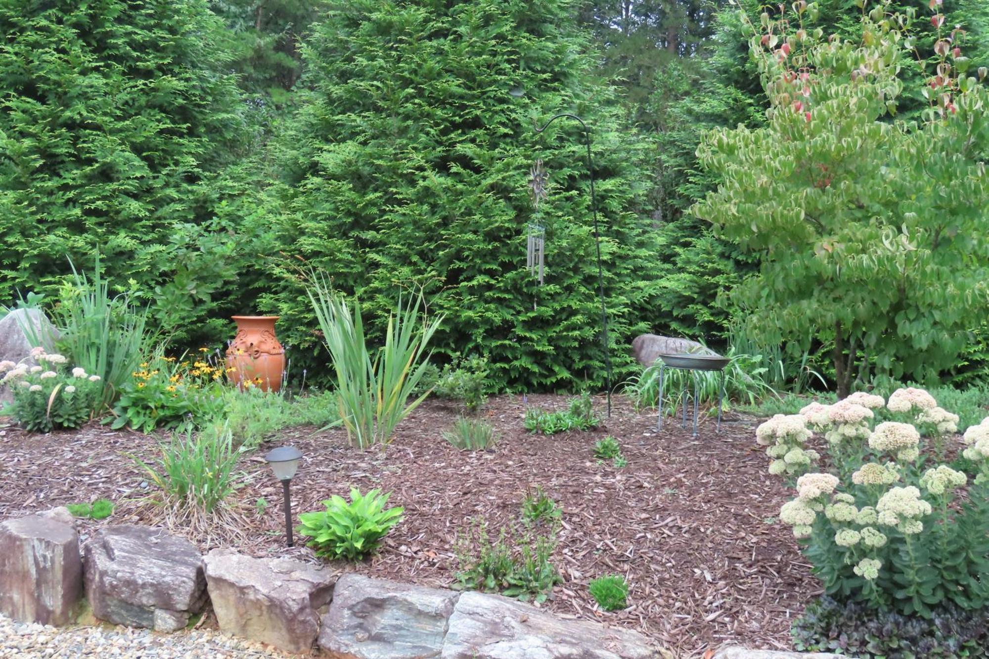 Scenic Fox Ridge Cabin On 4 Acres With Hot Tub! Whittier エクステリア 写真